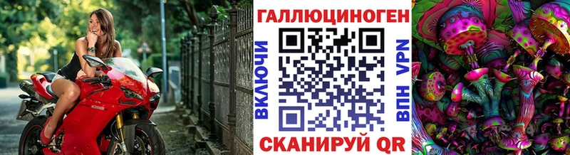 Псилоцибиновые грибы Cubensis  Северская 